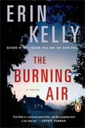 *The Burning Air* by Erin Kelly