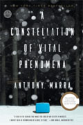 Buy *A Constellation of Vital Phenomena* by Anthony Marraonline