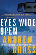 Buy *Eyes Wide Open* by Andrew Gross online