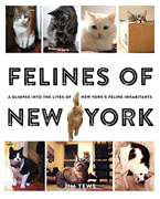 Buy *Felines of New York: A Glimpse Into the Lives of New York's Feline Inhabitants* by Jim Tewso nline