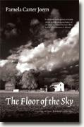 Buy *The Floor of the Sky* by Pamela Carter Joern online