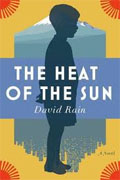 Buy *The Heat of the Sun* by David Rainonline