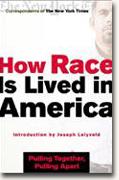 How Race is Lived in America bookcover