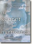 Buy *The Secret of Hurricanes* online