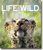 *Life in the Wild* by DK Publishing