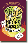 *Mr. Sebastian and the Negro Magician* by Daniel Wallace