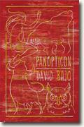 *Panopticon* by David Bajo