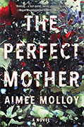 *The Perfect Mother* by Aimee Molloy