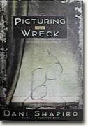 Buy *Picturing the Wreck* online