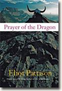 Buy *Prayer of the Dragon* by Eliot Pattison online