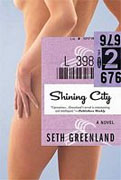 *Shining City* by Seth Greenland