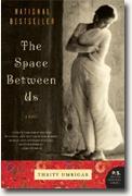 *The Space Between Us* by Thrity Umrigar