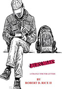 Buy *Burn Marks: A Strange Time for Letters* by Robert D. Rice II online
