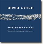 *Catching the Big Fish: Meditation, Consciousness, and Creativity* by David Lynch
