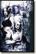 Buy *Dusk* by David A. Doub, illustrated by Maki Naro and Jerry Gonzales III online