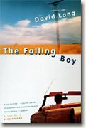 David Long' *The Falling Boy*
