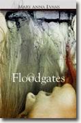 *Floodgates: A Faye Longchamp Mystery* by Mary Anna Evans