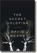 Buy *The Secret Goldfish: Stories* online