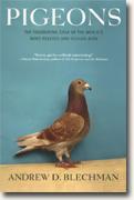 *Pigeons: The Fascinating Saga of the World's Most Revered and Reviled Bird* by Andrew D. Blechman