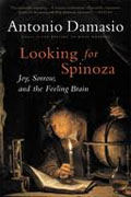 Buy *Looking for Spinoza: Joy, Sorrow, and the Feeling Brain* online