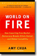 Buy *World on Fire: How Exporting Free Market Democracy Breeds Ethnic Hatred and Global Instability* online